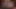 Transfixed - iç çamaşırlı yalnız trans Khloe Kay genç erkek avcısı lezbiyen tesisatçı tarafından tahrik ediliyor