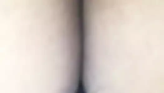 sevgilisi KEDİ taşıma