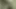Üvey kız kardeş üvey annenin sigaralarını çalıyor ve ben onun götünü çalıyorum