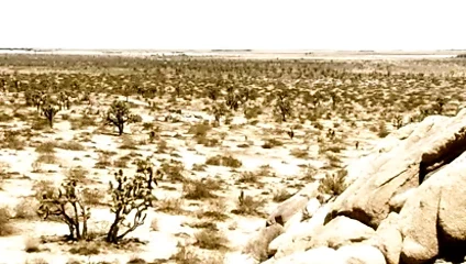 5. bölüm full film yükle