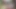 Rajasthani Hindi Wife Desi Sex Marwari Sex Indian Sex