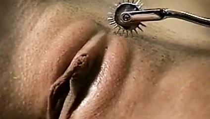 seksi köle alır onu KEDİ alay