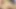 Ünlü porno yıldızları ateşli üçlü grupta yarak paylaşıyor ve döl değiştiriyor