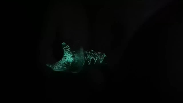 Karanlık yapay peniste benim parıltımı kullanma