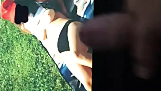 paulheinet için haraç