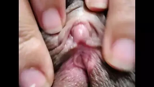 Büyük kıllı kedi