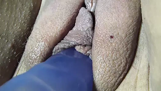 yakın çekim kedi ile mavi yapay penis ekleme nicki,s