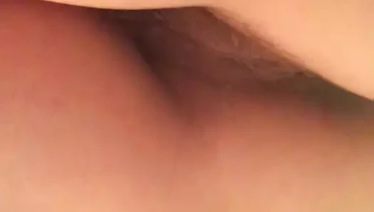 Kıllı kızılderili karısının kedi 2