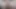 4k riley reyes ırklararası gelmiş geçmiş en büyük horoz!