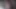 Kedi sadece bir parmak ile bir fotoğraf oturumu