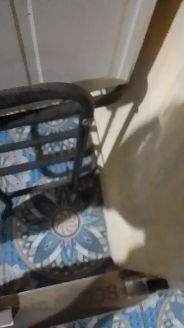 Üvey oğluyla sikişmeye davet edilen kızın ıslak olana kadar yalamak için lezzetli kıllı bir amcığı var