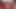 Seksi sıcak sarışın sikikleri sybian sonra oynuyor ona kedi içinde bir liv