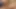 Ateşli sarışın ve seksi esmerle sikişiyor