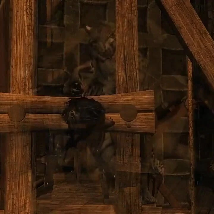 Khajiit zindanda bağlı ve kullanılıyor