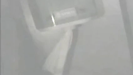 Kitapçıda evcil hayvanım sürtük