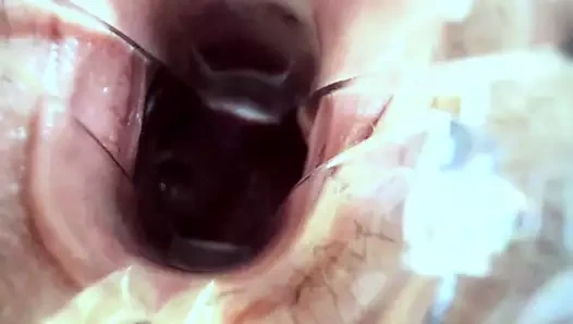 Web kamerası amcığı