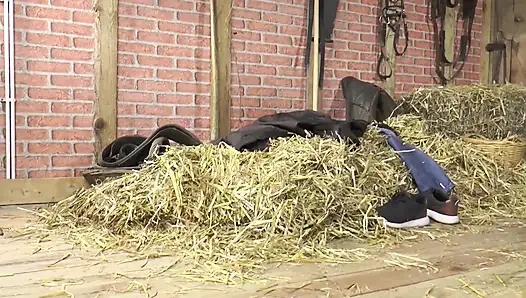 Büyük Memeli Sürtük Boğa Yarağını Gırtlağına Kadar Alıyor Ve Amını Ve Götünü Korunmasız Siktiriyor!