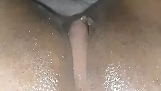 Komşum onu ​​kedi ile oynuyor