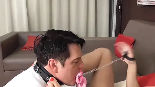 Köleyi ayaklarla eğitiyor