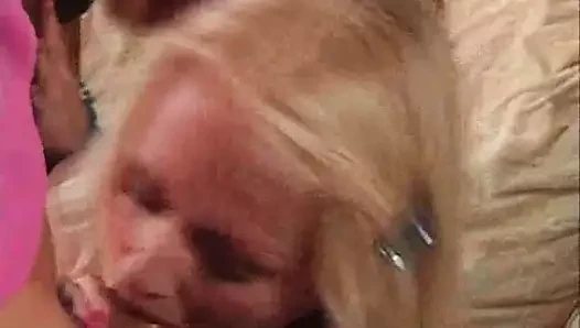 İngiliz ırklararası anal