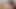 Güzel civciv kıllı kedi chillin üzerinde web kamerası