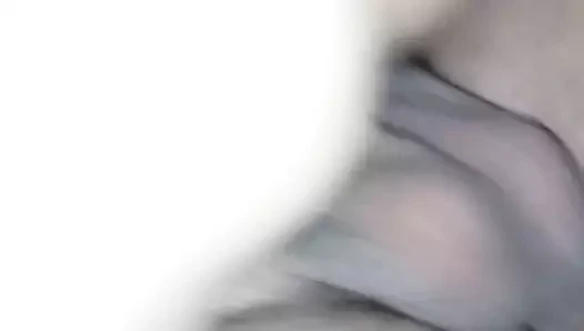 Para de camelo cavalga macio