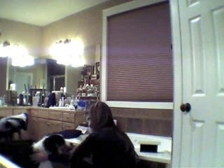 Çiftlikte bahar zamanı