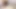 Pov: licking the pussy of the biggest ass girl in school, with cumshot in the ass