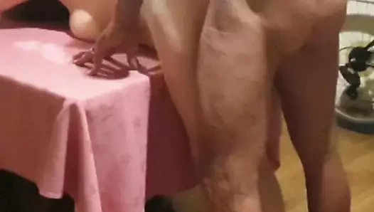 Boğam beni evin her odasında sikiyor. boynuzlamak