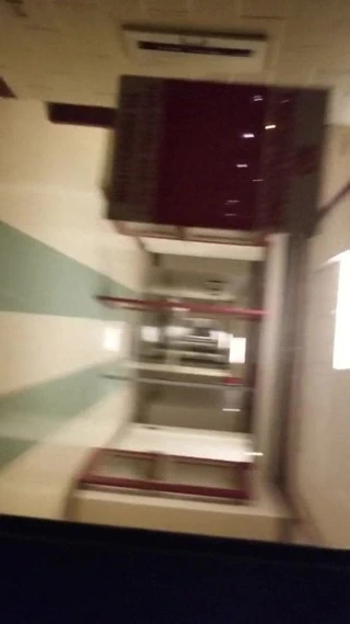 Kampüs doggy(bize tur)