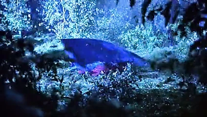 Patricia arquette - insan doğası