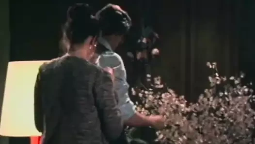 Klasik özel fantezi seks ile derin aşk yapma