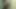 dunkle Lust endet im totalen Kontrollverlust mit jeder