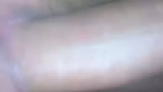 Texas bbw becerdin köpek