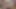 Büyük zenci yarağı bağımlılığı - % 100 amatör ve ev yapımı porno videoları
