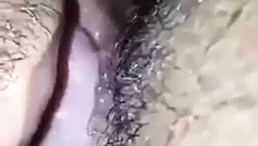 Sri lanka yalama hora miniha