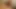 karısı kenar precum ile twinks
