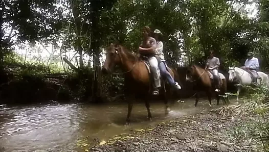 Özel altın 68 - milyoner 2 (2004)