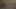 Sindee coxx amatör video