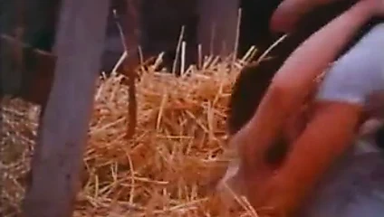 Moonshine kızlar - bölüm 1 / 2 - bsd