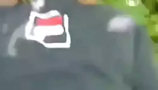 Png ücretsiz görünüm eşek yangını 2021