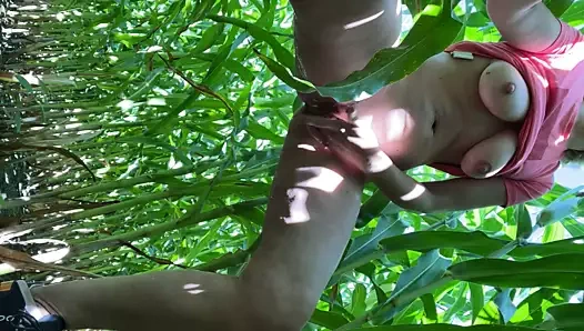 Mısır tarlasında yürüyüş yaparken fışkırtma molası