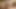 Rigid3d d3d amazonium mısırlı kraliçe canavar yarakla sert sikiliyor domaltmalı anal nil tarafından