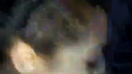 Oral seks itibaren the eş hd