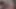 Küçük yaraklı şanslı bir adam birden fazla bayanın oral seksi