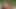 Tushy aldatan kızıl saçlı Megan Longoria iyi bir anal sikişe karşı koyamıyor