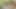 Kredi4k. ajan randevu için müşteriyi arar ama onu sikikleri
