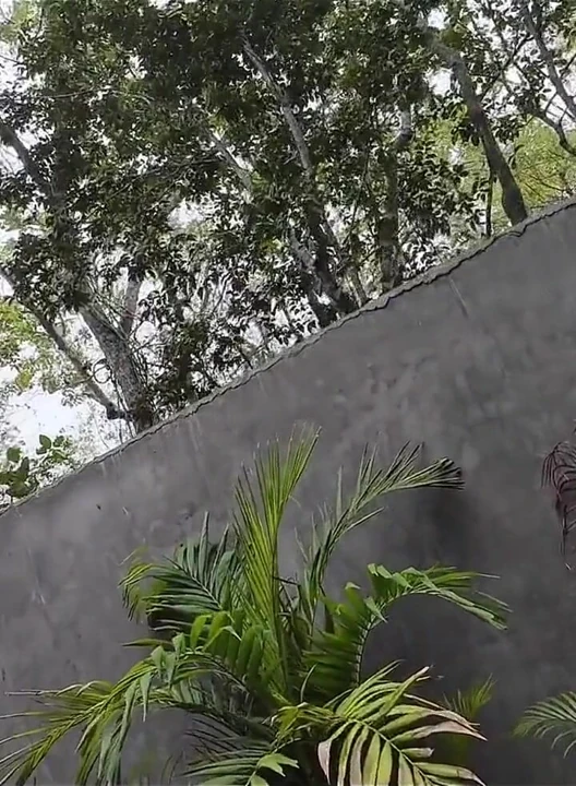Fodi a esposa do meu vizinho no quintal do Airbnb depois que ela saiu da piscina