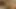 Jasmine Rose'dan çıplak olmayan bts, girlsgonegyno.com'da işe alınmadan önce fiziksel, kamerayı öğreniyor ve beyin fırtınası yapıyor