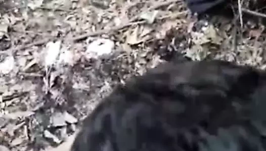 pederasa kamsa lapa ciganski pishki i mu burkat v gaza